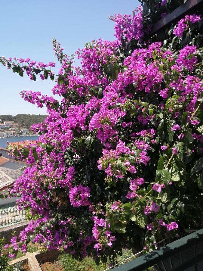 Fioretta Mali Lošinj Екстериор снимка