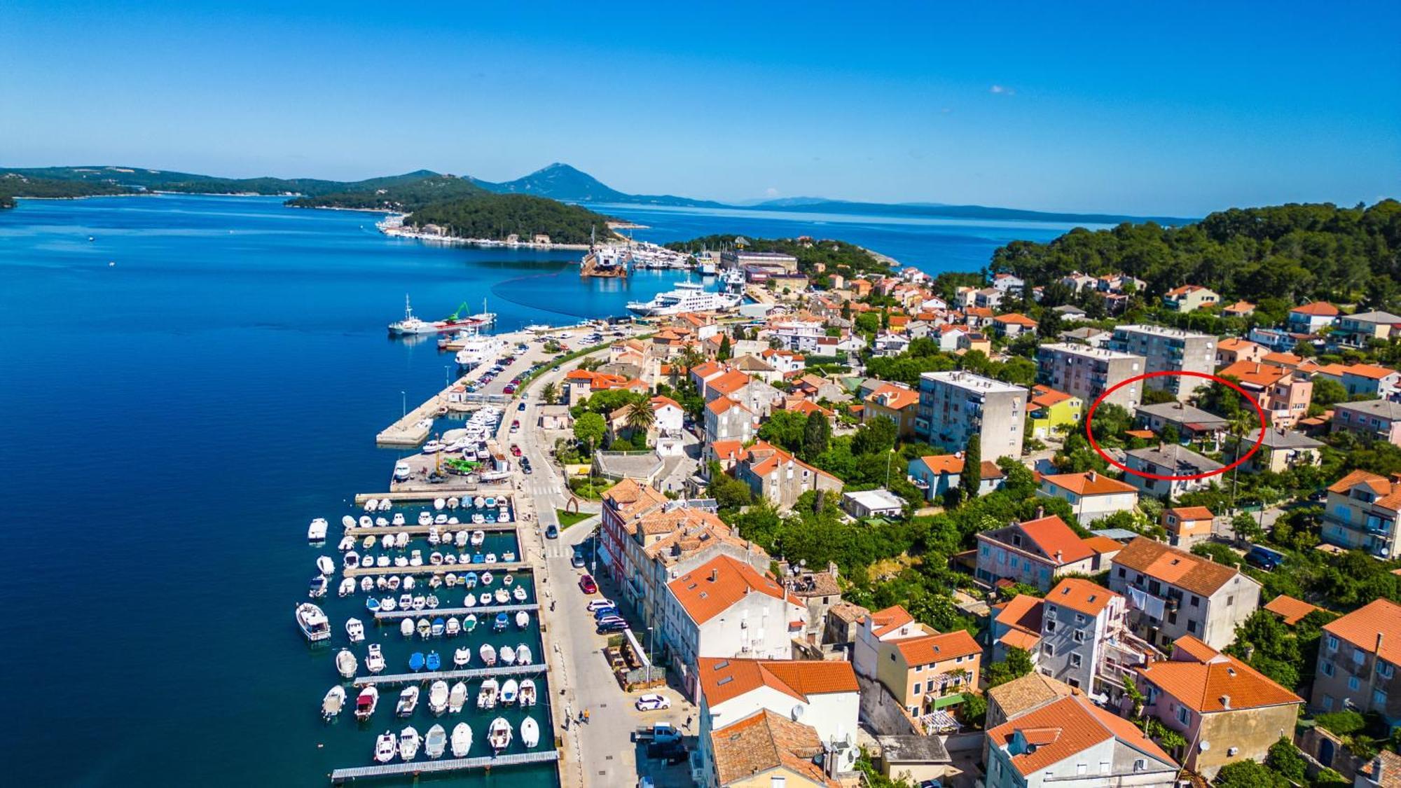 Fioretta Mali Lošinj Стая снимка