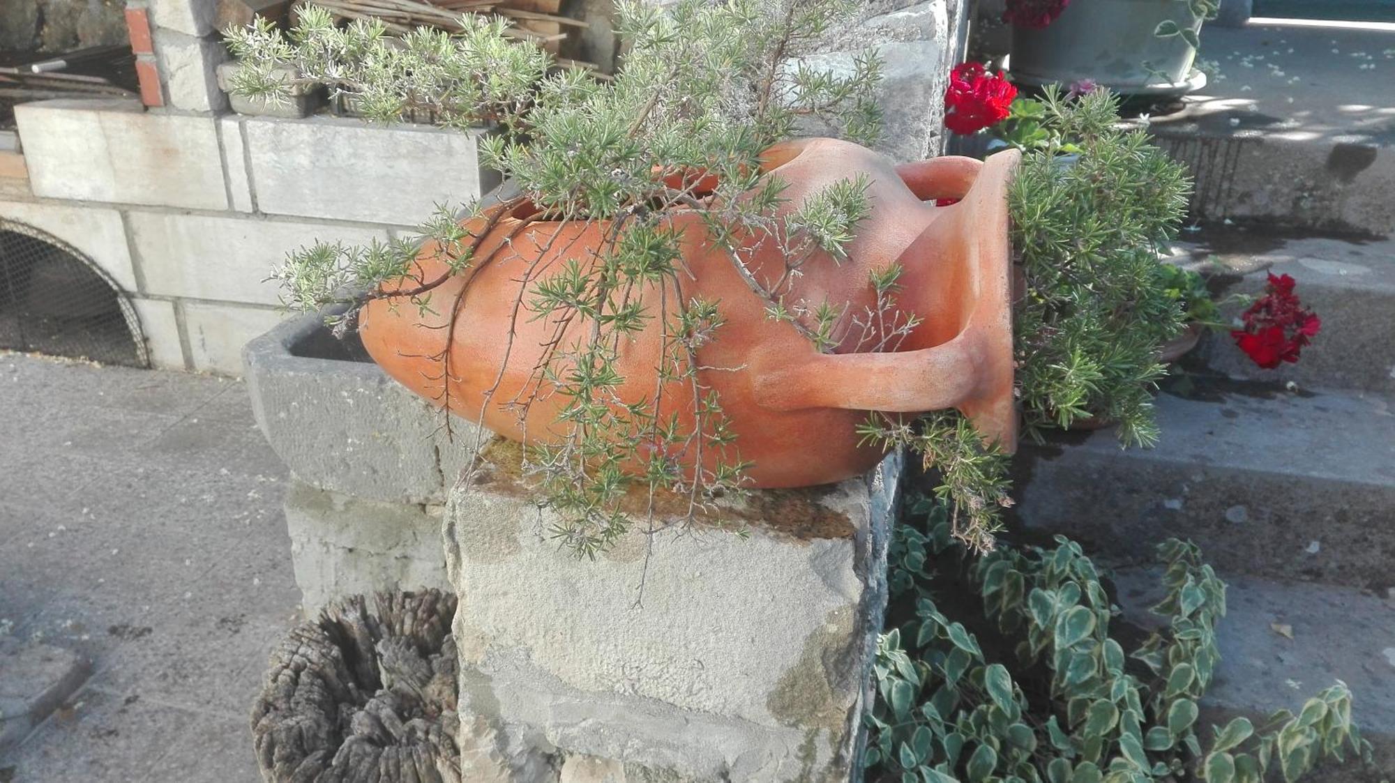 Fioretta Mali Lošinj Екстериор снимка