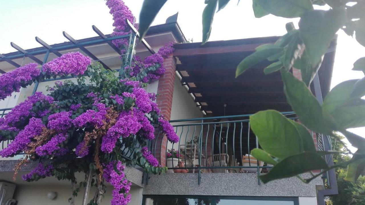 Fioretta Mali Lošinj Екстериор снимка